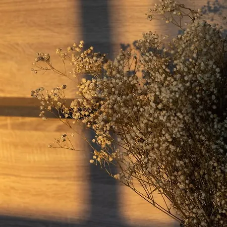 Apartamento Lieblingsquartier - 7