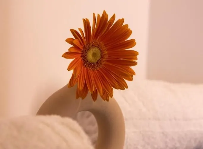 Lieblingsquartier - 7 Daire *